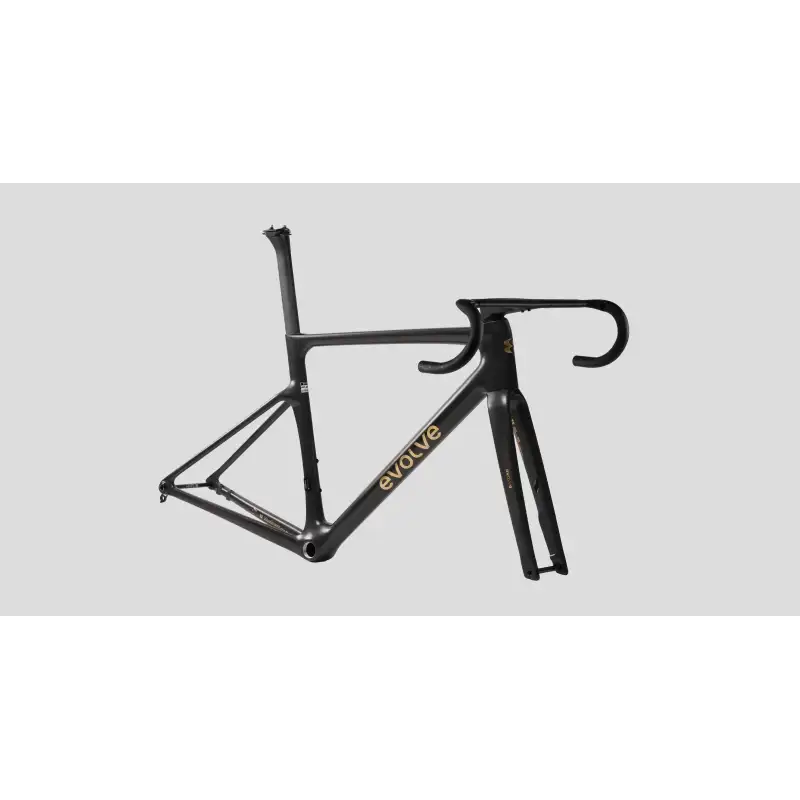 EVOLVE CIMA Mate Carbon Gold (Cuadro)