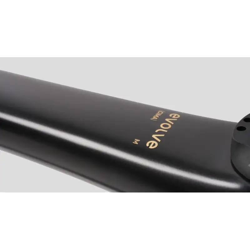 EVOLVE CIMA Mate Carbon Gold (Cuadro)
