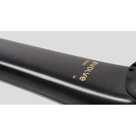 EVOLVE CIMA Mate Carbon Gold (Cuadro)