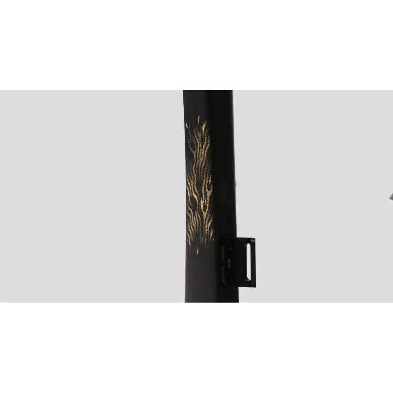 EVOLVE CIMA Mate Carbon Gold (Cuadro)