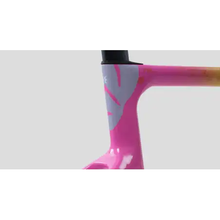 EVOLVE CIMA Tropical Yellow (Cuadro)