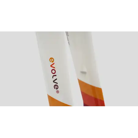 EVOLVE CIMA Rewind (Cuadro)