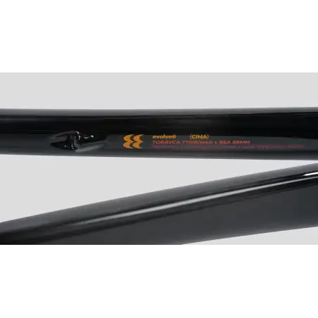 EVOLVE CIMA Rewind (Cuadro)